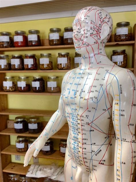 Yin’s Acupuncture & Integrated Medicine – Best Acupuncture near Me ...