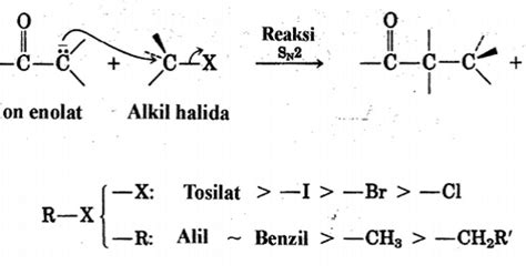 Alkilasi Pada Senyawa Karbonil