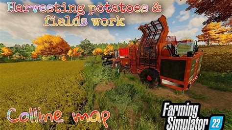 Harvesting Potatoes And Working Our Fields Colline Map Farming