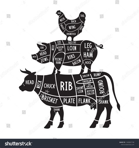 Meat Cuts Set Diagrams Butcher Shop Stock Vector Royalty Free