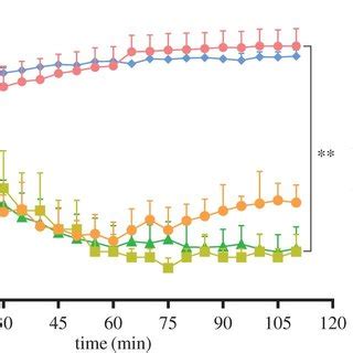 Ultrastructural Differences Of The M Abscessus S Or R Containing