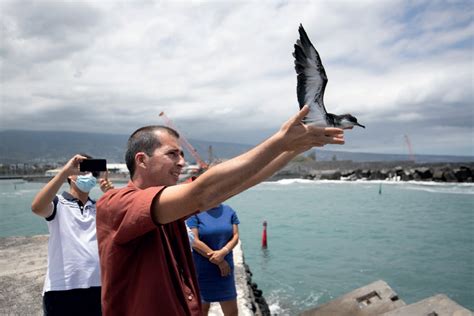 Nuits sans lumières 2024 à Port Réunion Grand Port Maritime de la Réunion