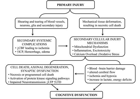 Pathophysiology Of Primary Brain Injury Download Scientific Diagram