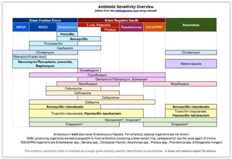 Antibiotic Diagram Antibiotic Spectrum Chart