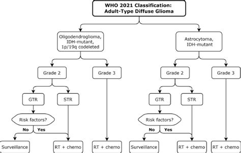 Radiation Therapy For IDH Mutant Grade 2 And Grade 3 Diffuse Glioma An