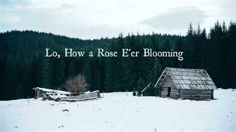 Lo How A Rose E Er Blooming Youtube