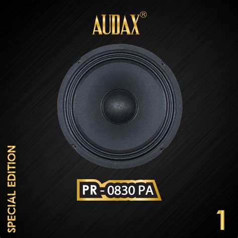 Jual Audax Speaker Pasif Pro Tech Pr Pa Full Range Shopee