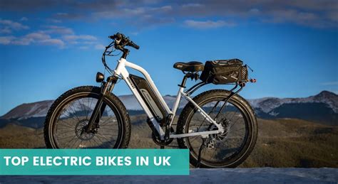 Best Electric Bike 2024 The Ebike Guru