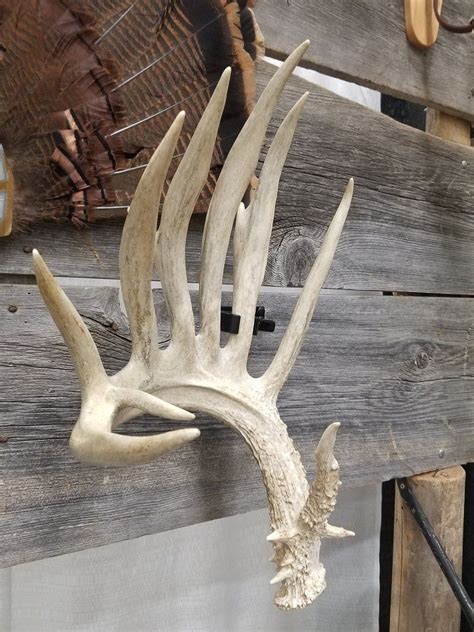 Shed Antler Mounting Clamp Etsy Shed Antlers Deer Hunting Decor