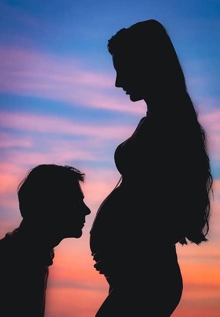 Silhouette Couple Pregnancy Free Photo On Pixabay Pixabay