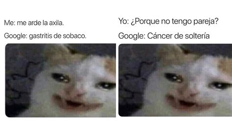 Meme Gato Llorando Download Meme Del Gato Llorando Ya Estoy Harto Graprishic