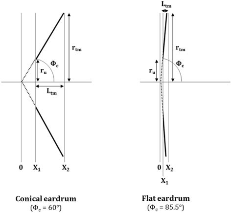 Schematic of the conical-horn, showing various parameters and the ...