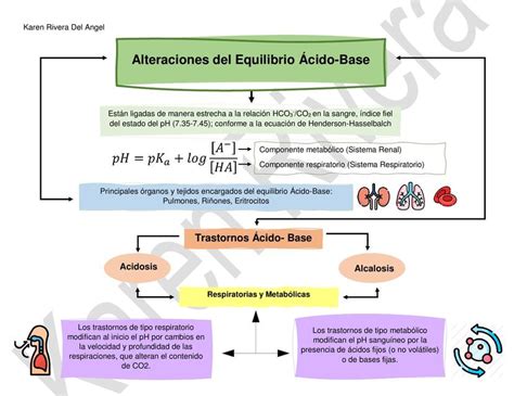 Solution Fisiologia Alteraciones Del Equilibrio Cido Base Studypool