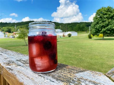 Berry Lemonade Cocktail Recipe | Sarah Scoop