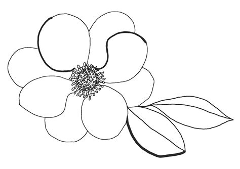 How to Draw Modern Flowers for Kids by paigetate - Issuu