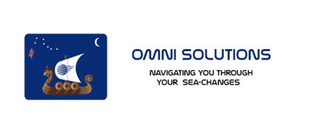 Home Omni Solutions Inc