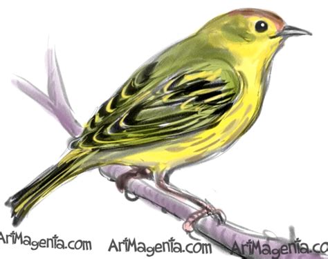 Yellow Bird Drawing at PaintingValley.com | Explore collection of ...