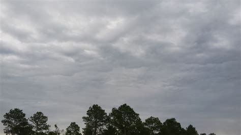 smoke screen words  gods wisdom