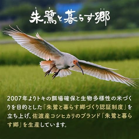 米 朱鷺と暮らす郷 佐渡産 コシヒカリ 5kg 【令和6年産】 新潟県佐渡市 Jre Mallふるさと納税