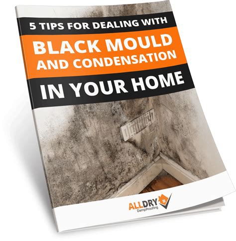 5 Tips For Dealing With Black Mould And Condensation Damp Sam Simon Cooper