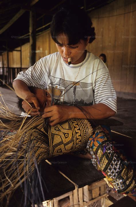 Indigenous Dayak Tropical Rainforest Malaysia Sarawak Borneo Nigel