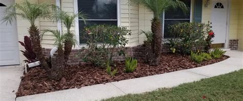 Decorative Pine Bark Mulch | Shelly Lighting