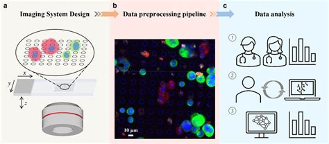 Schematic Of Overall Design A Multi Channel Epifluorescence