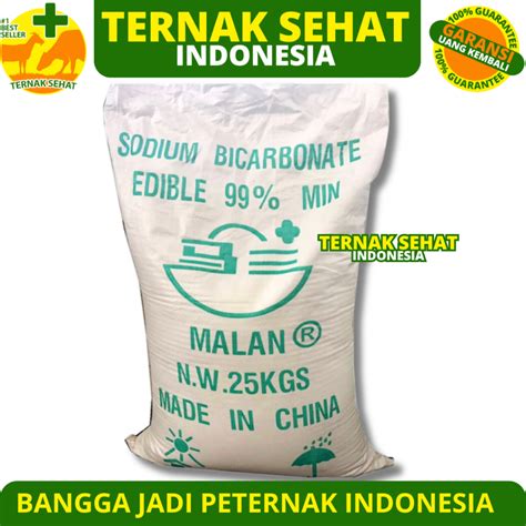 Jual Baking Soda Soda Kue Sodium Bicarbonate Kg Baking Soda