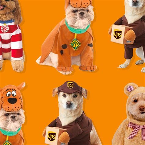 42 Funniest Dog Halloween Costumes 2021