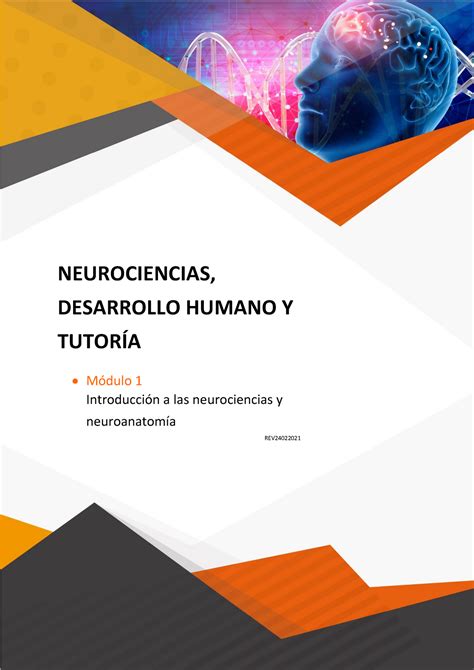 Neurociencias Desarrollo Humano Y Tutoria Modulo 1 Neurociencias Desarrollo Humano Y TutorÍa