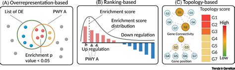 Interpreting Omics Data With Pathway Enrichment Analysis Trends In