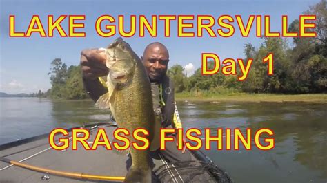 Lake Guntersville Bass Fishing Tournament Day 1grass Fishing Youtube