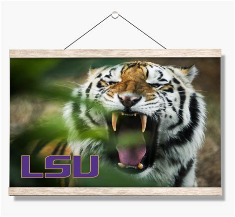 Mike The Tiger - Lsu Tiger, HD Png Download , Transparent Png Image ...