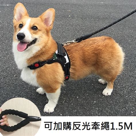 【dc寵物有發票】🐾小中大型犬寵物胸背帶 馬鞍型寵物胸背帶 防暴衝 寵物背帶 牽引繩 寵物胸背 狗背帶 A019 蝦皮購物