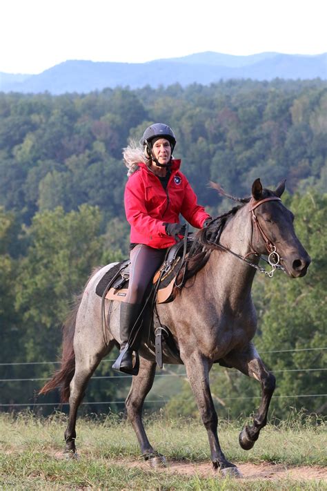 Meet The Horses — Fourth Rock Stables