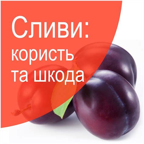 Сливи: користь та шкода | Сливові плоди містить в собі вітаміни А, В1 ...