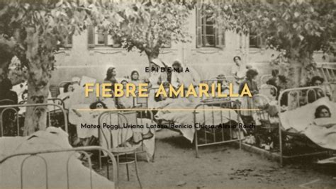 Epidemia Fiebre Amarilla