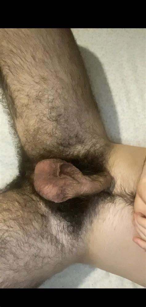 Rate My Bush Nudes Insanelyhairymen Nude Pics Org