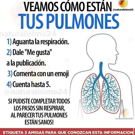 Saber De Salud En Instagram C Mo Est N Tus Pulmones S Guenos En