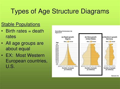 3 Different Age Structure Diagrams Using Y And X Axis Sectio
