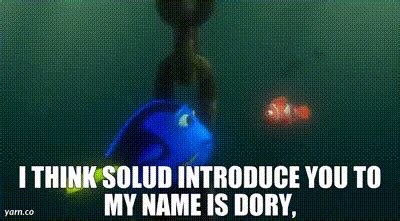 YARN I Think Solud Introduce You To My Name Is Dory Finding Nemo