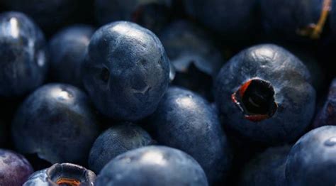 Health Benefits of Bilberry | Simply Supplements
