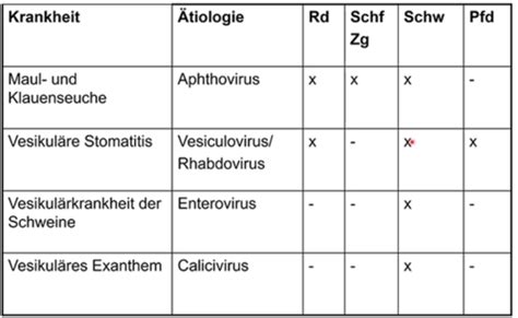 3 1 Verdauungsblock Pathologie Obere Verdauungstrakt Flashcards Quizlet