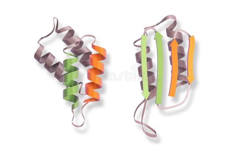 Human Prion Protein Hprp Chemical Structure 3d Rendering