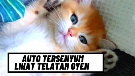 Gelagat Oyen Comel Buat Anda Auto Tersenyum Youtube