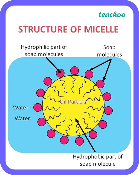 Class Carbon And Its Compounds What Are Micelles Teachoo