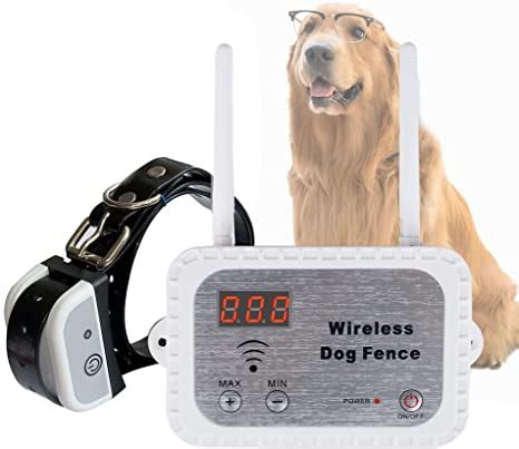 8 Best Wireless Dog Fence Systems of 2023 | Ultimate Guide