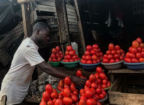 Kampala Uganda Tomato Culture Vegetables Photo Sign Instagram Food