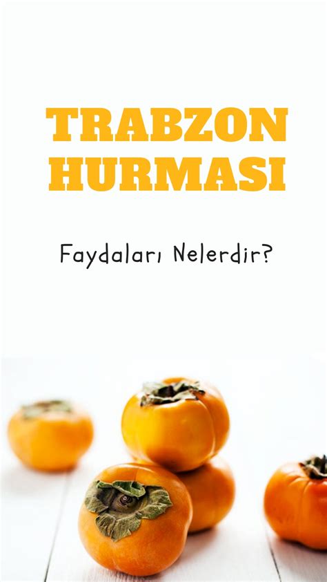 Trabzon Hurmasının Faydaları Nelerdir Nasıl Kurutulur Nefis Yemek