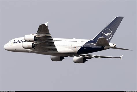 D Aimk Lufthansa Airbus A Photo By Florian Venus Id